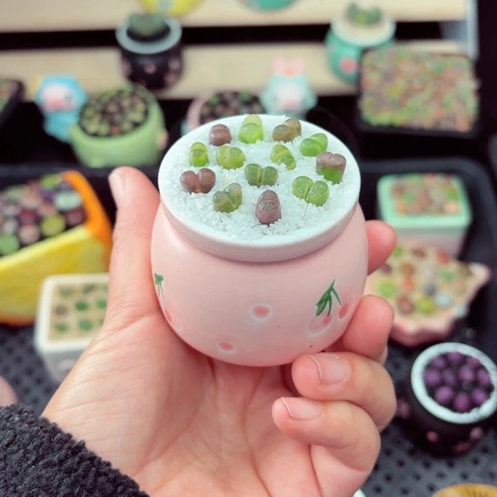 674零下地区记得拍保温箱