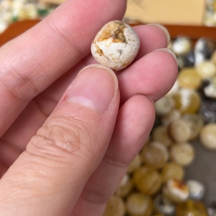 蜜蜡未镶嵌裸石13.6mm一个