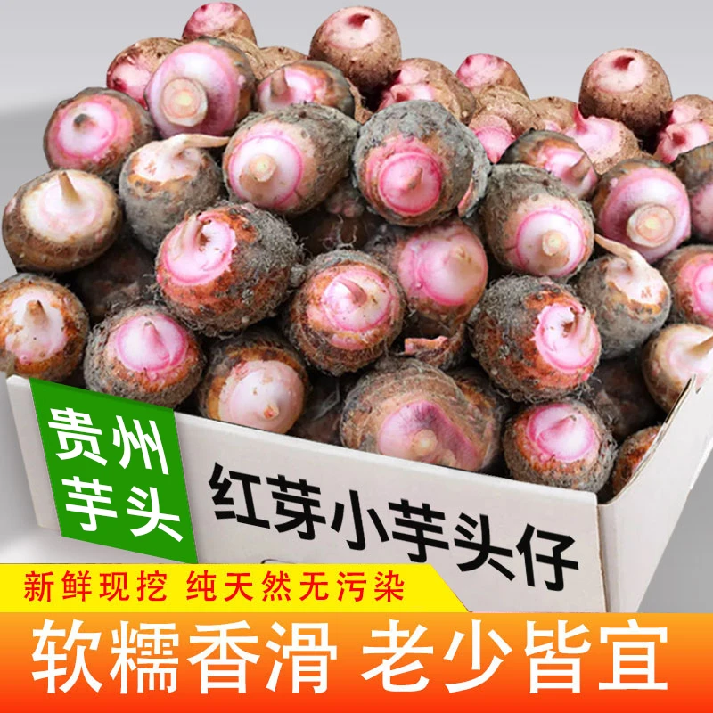 【贵州红芽芋头】小芋头牛奶芋艿软糯香粉新鲜蔬菜现挖香芋毛芋头