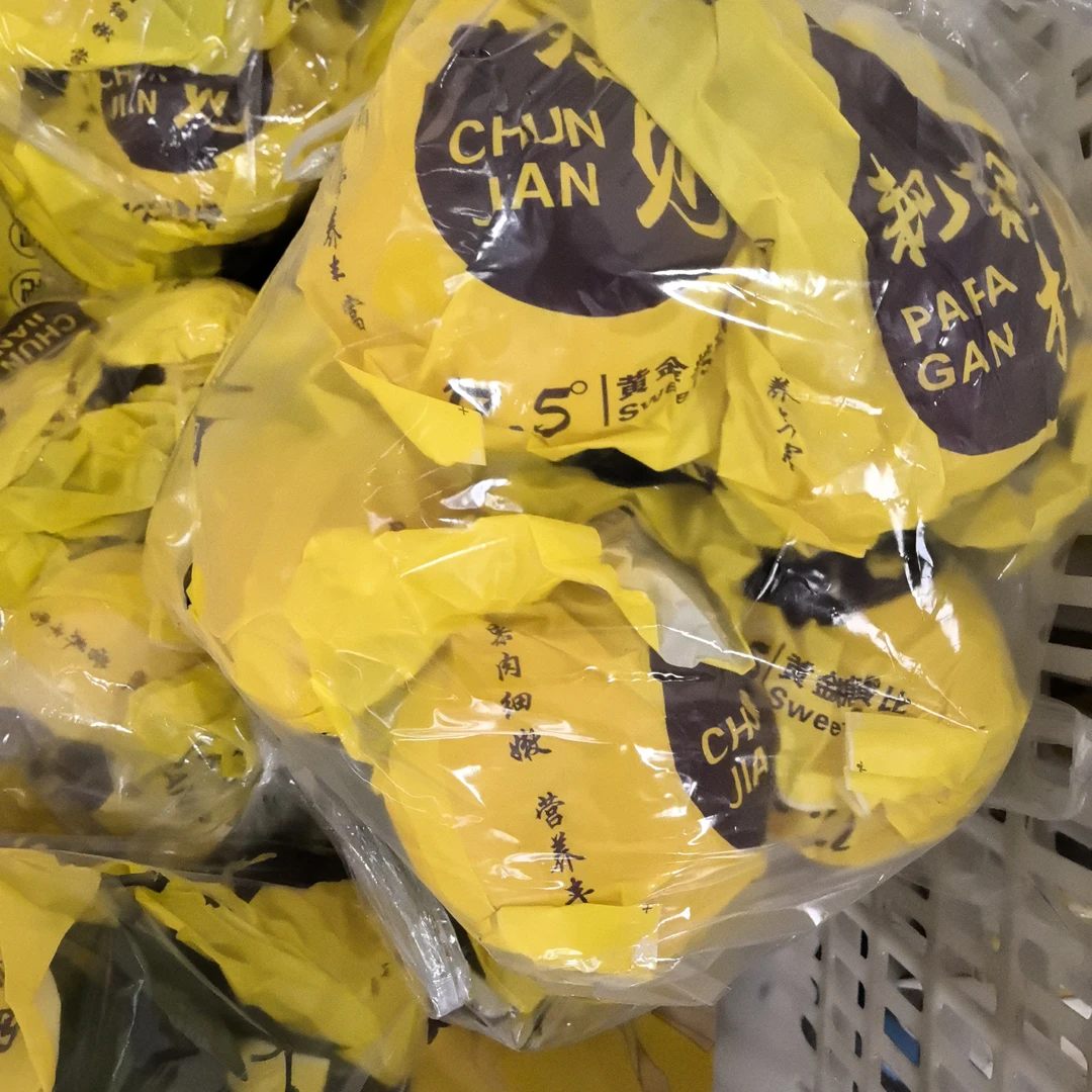 【同城配送】一袋四川春见耙耙柑（4斤左右）