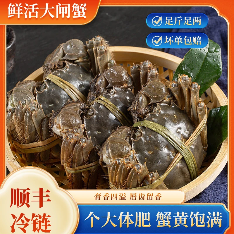 【活蟹】江苏大闸蟹公3.5两/母2.8两8只-10只顺丰鲜活到家