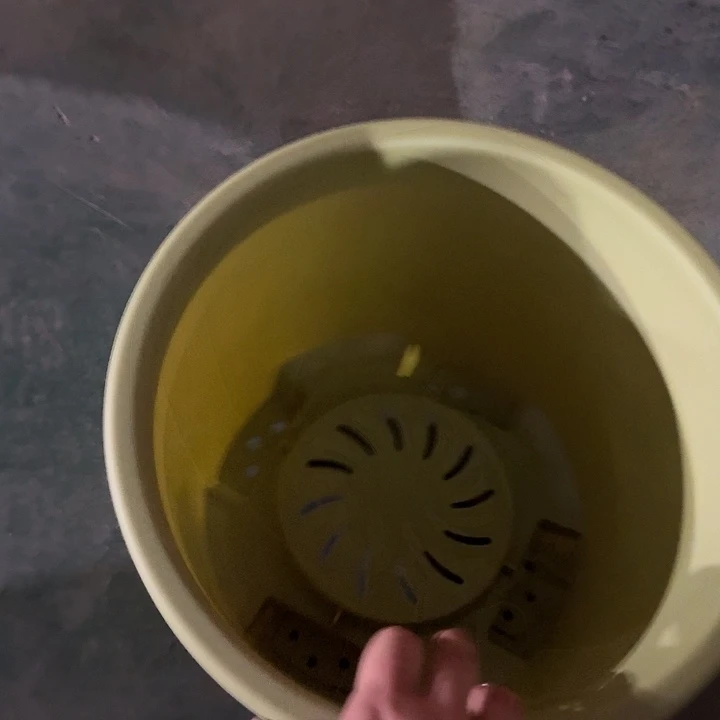 球根盆4号果绿无托5个