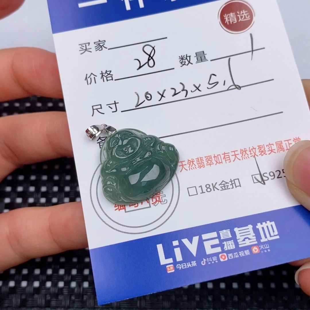 翡翠银S925镶嵌颈饰