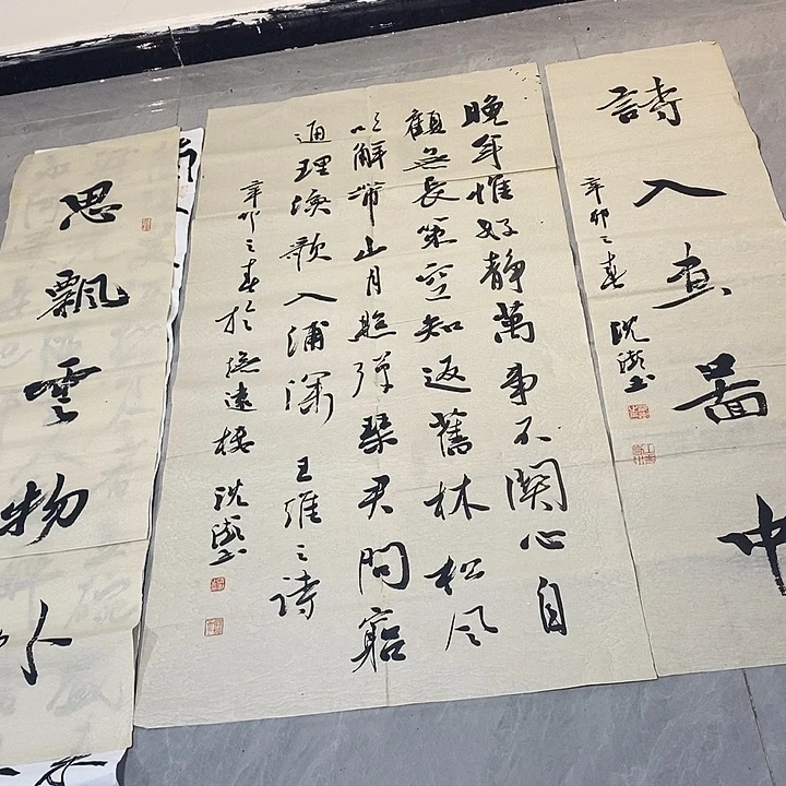 笑***生书法沈彭书法作品中堂一幅