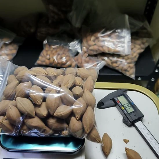艺***匀吊坠橄榄核大尺寸散籽