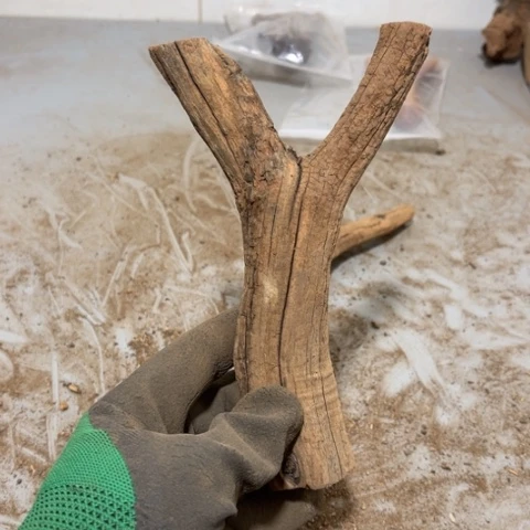 大果紫檀（缅甸花梨）曾***诺