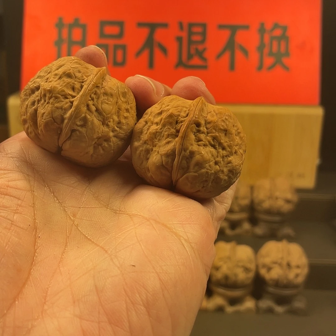 文玩核桃把件聚宝金蟾