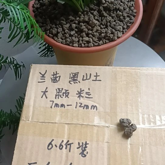 志***二兰菌颗粒大颗粒6.6斤