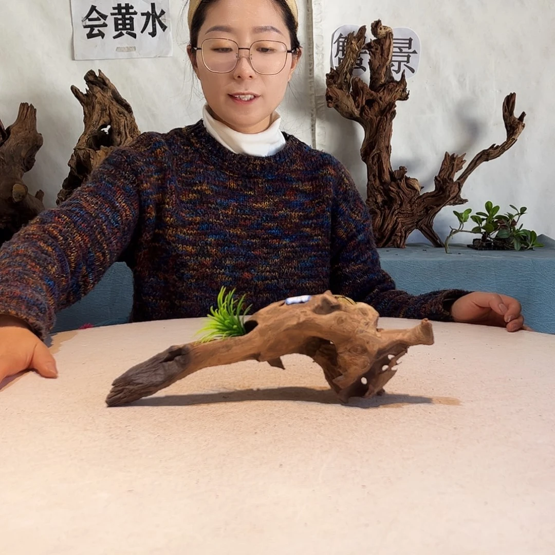 潇*沉木造景爬宠造景