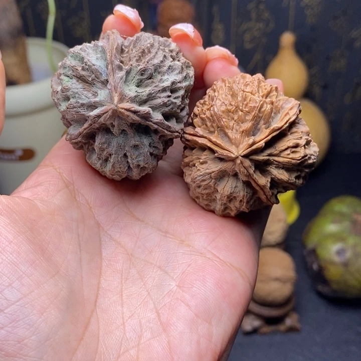 灵***药把件文玩核桃云南野生铁核桃三棱三对
