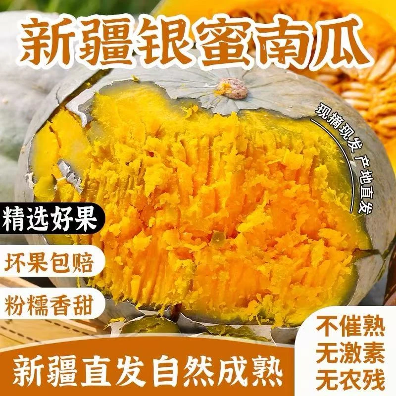 新疆沙漠银栗南瓜粉糯香甜可作宝宝辅食代餐蔬菜