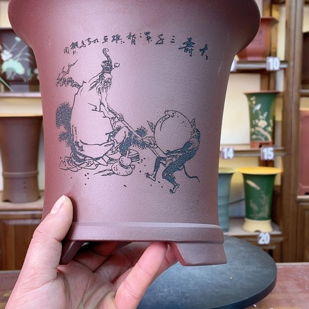 【闪购商品】紫砂花盆七**虫兰花456685555555555544