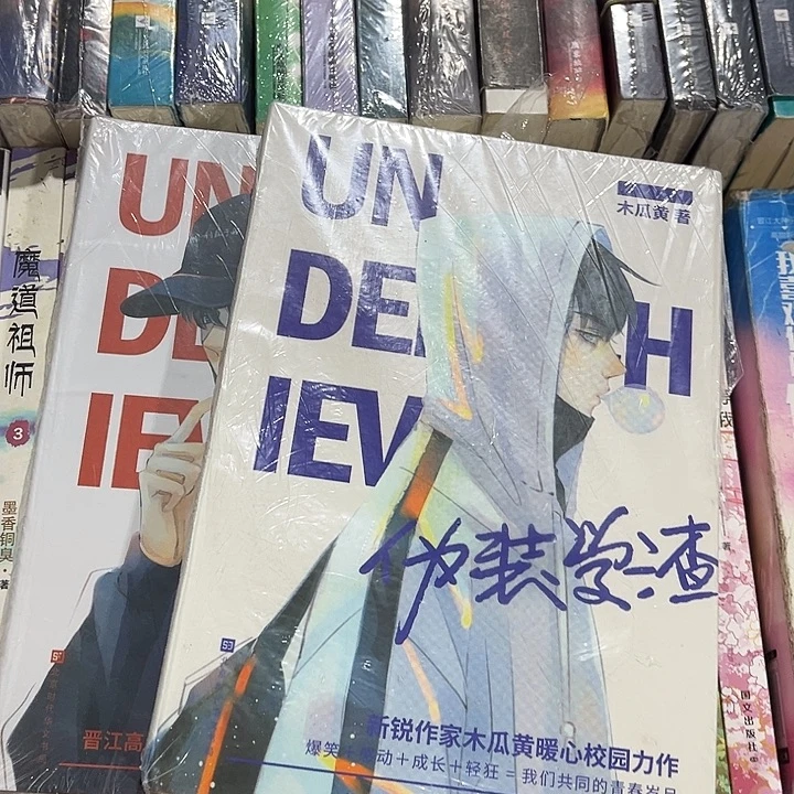 伪装学渣全新全套两本带周边未删减