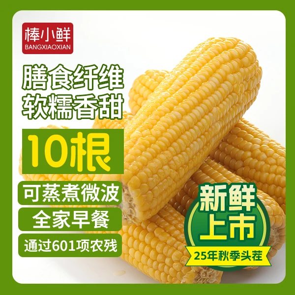 【试吃两根】25年头茬东北黄糯白糯玉米共10支6.5-7.5斤左右糯香甜