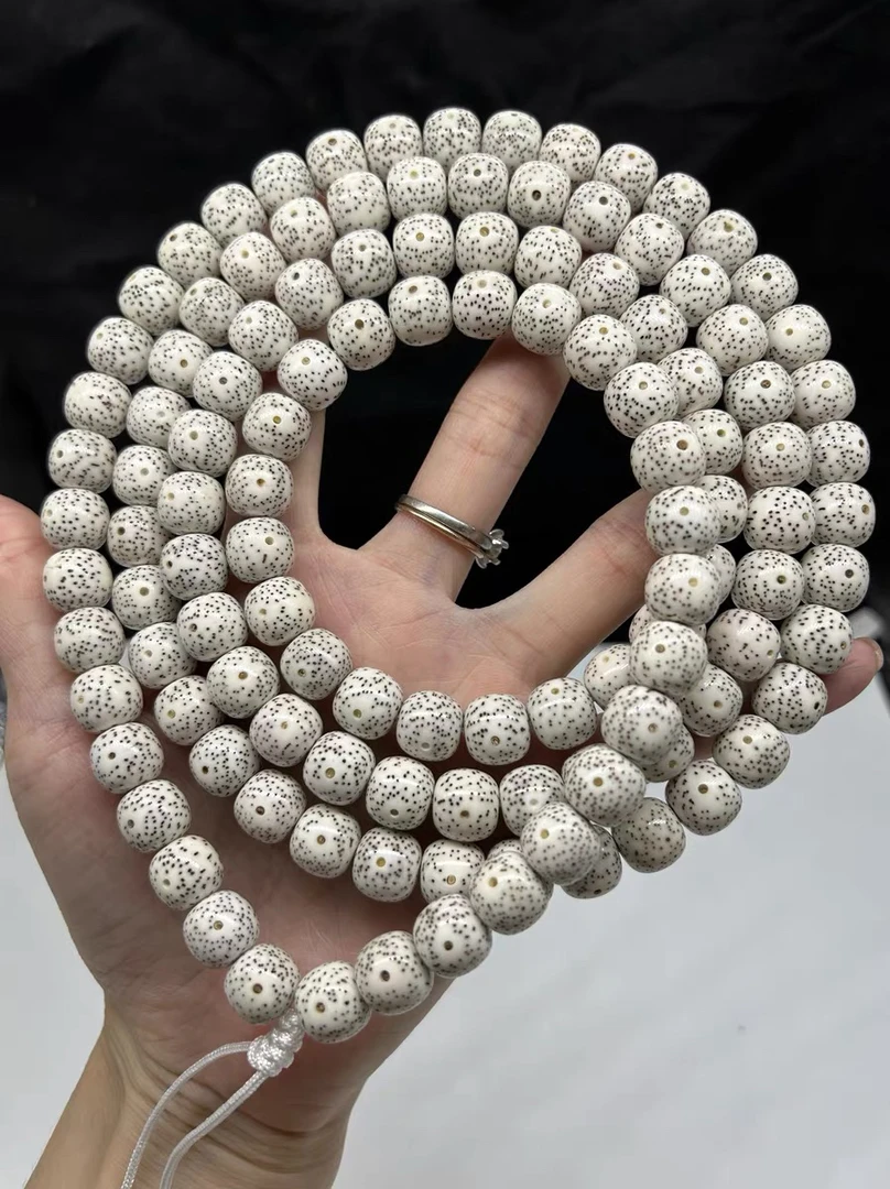 猛货仅一条海南毛感料星月菩提原生态白同枝果11X12桶珠正月细星