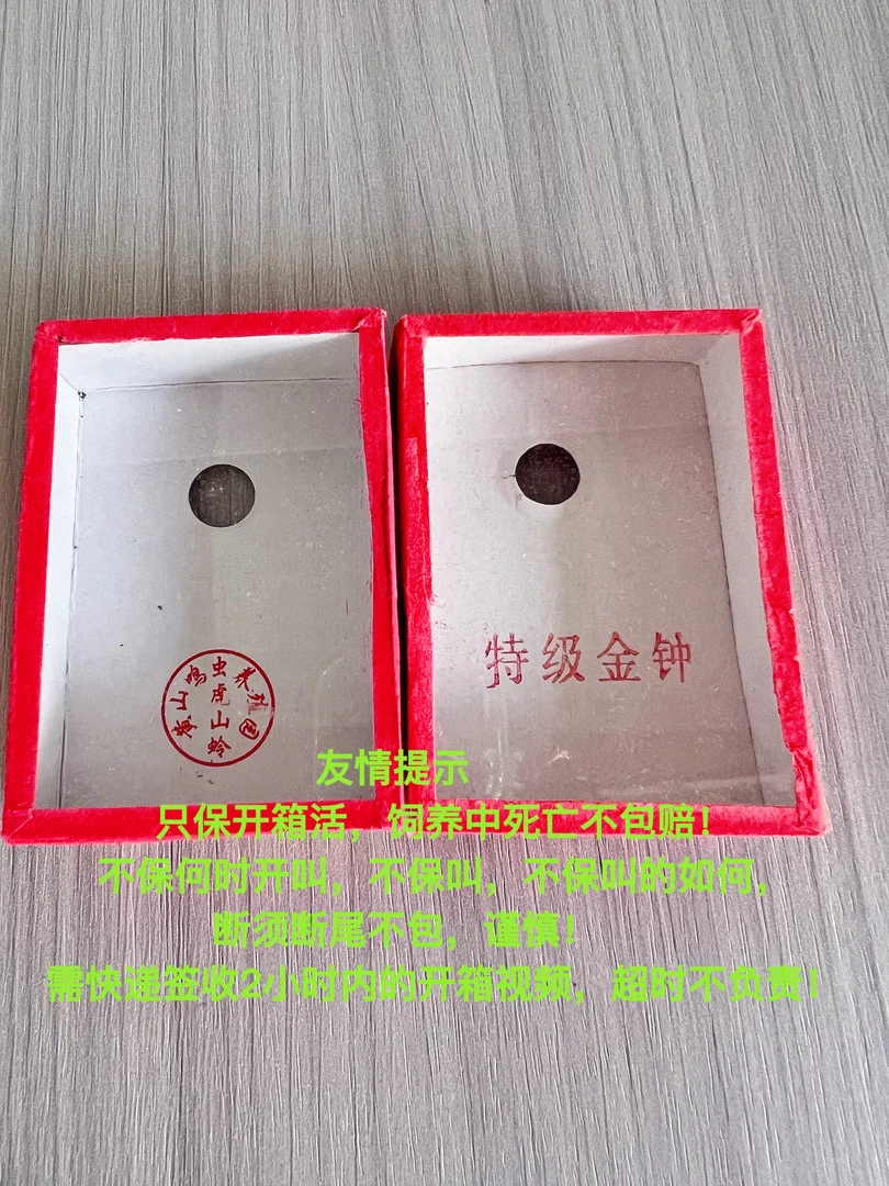 人工 绿金钟纸盒（签收2小时内开箱视频，超时不包）