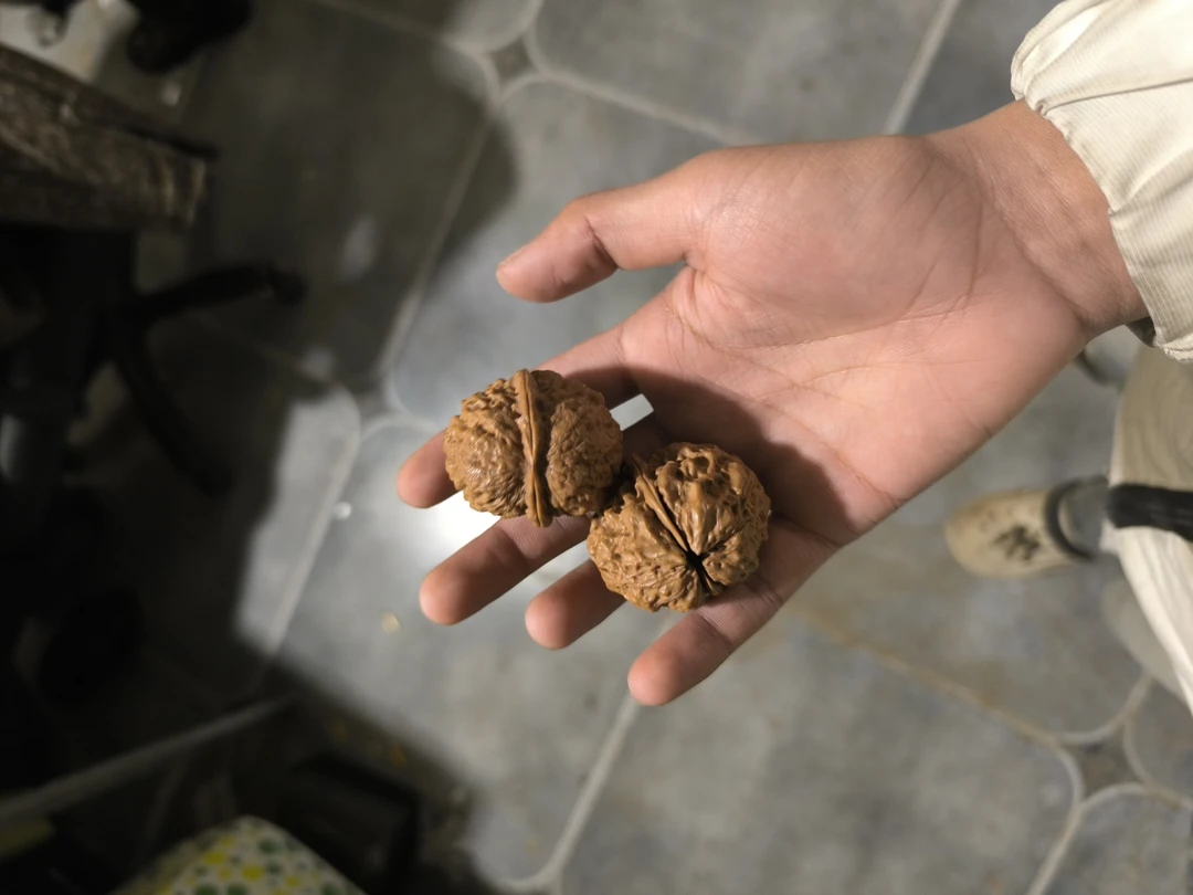 核桃金婵尺寸40嘎嘎板正