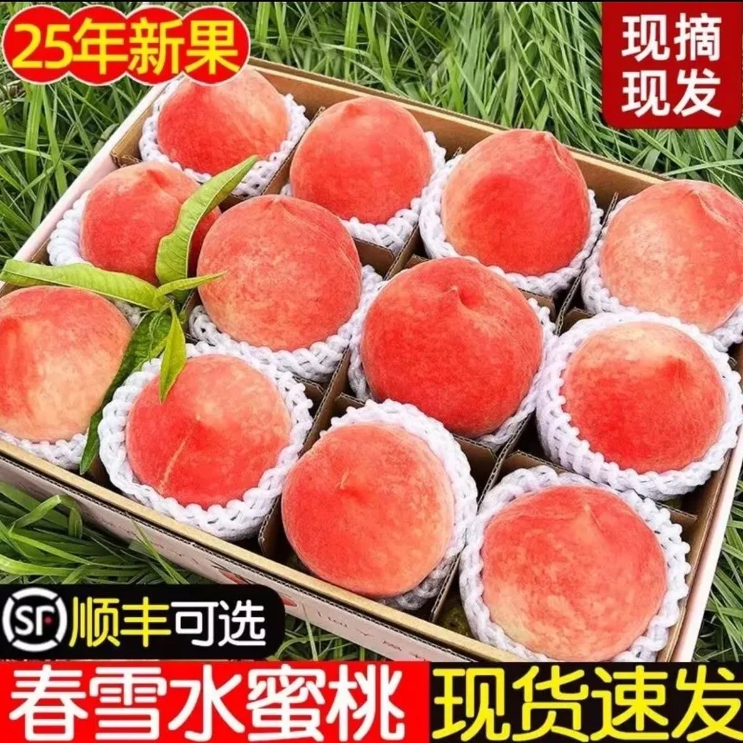 【顺丰上门】正宗水蜜桃新鲜现摘桃子新鲜毛桃当季水果礼盒脆桃