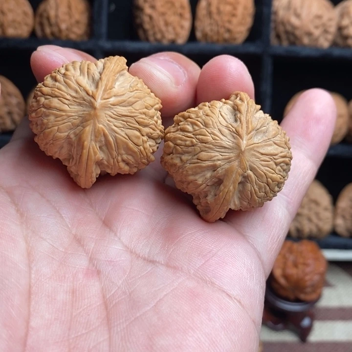 全品小众绣球35尺寸