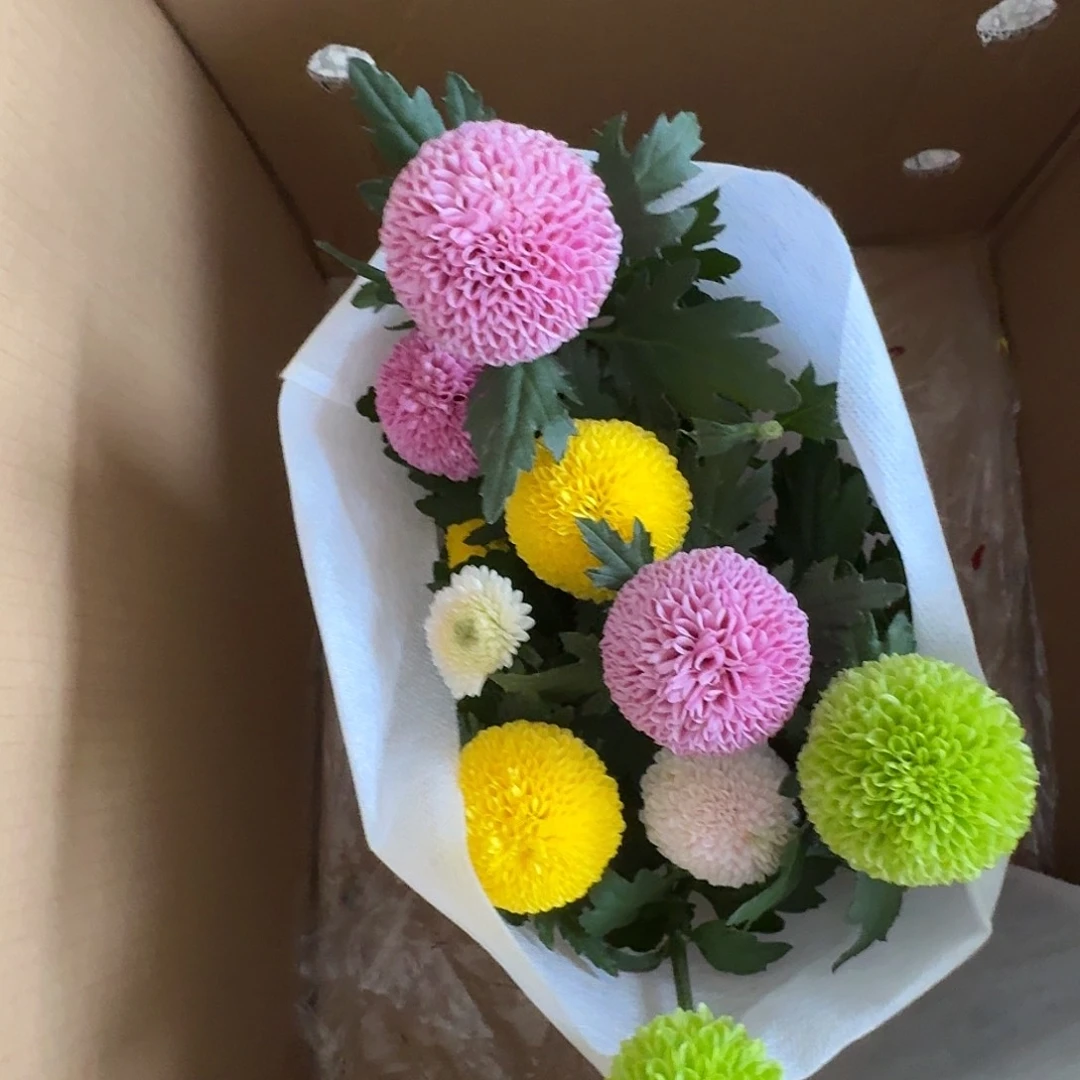 完全开放花花花花花花花花