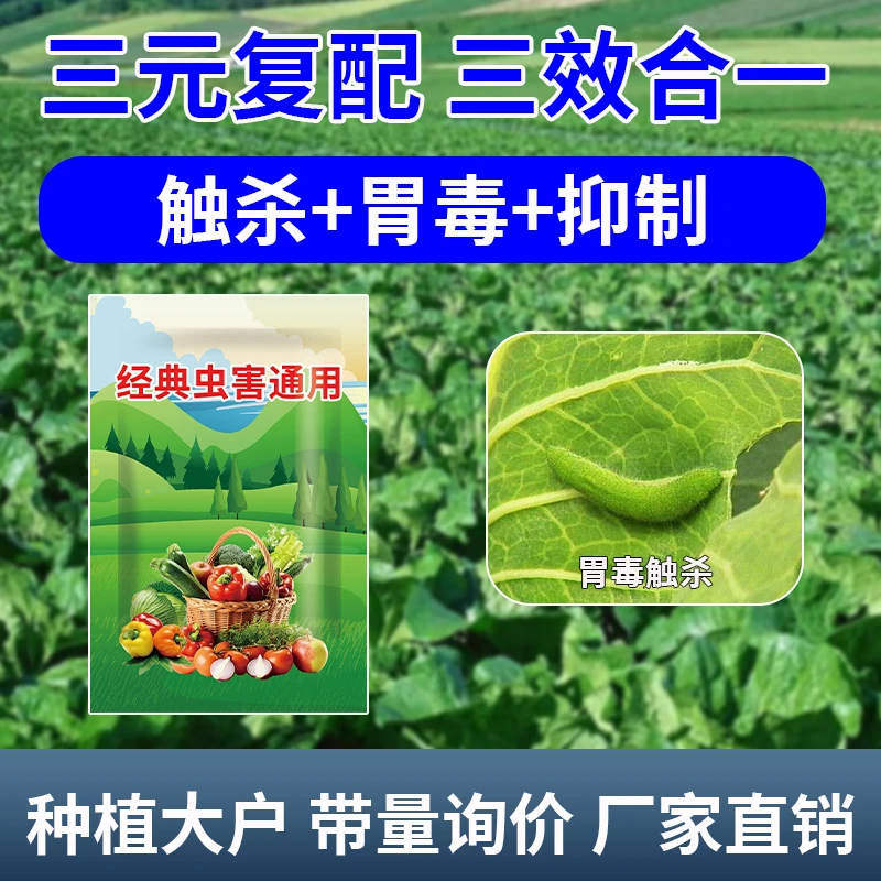 大小虫通用蔬菜耕地果园菜青虫稻纵卷叶螟三合一农用套装外用防虫