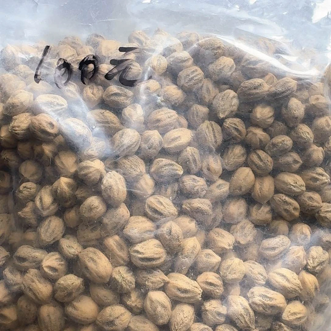 柏香籽/百香籽吊坠?****电