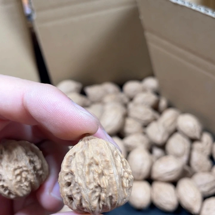 核桃手串/手链讨**天文玩核桃手捻