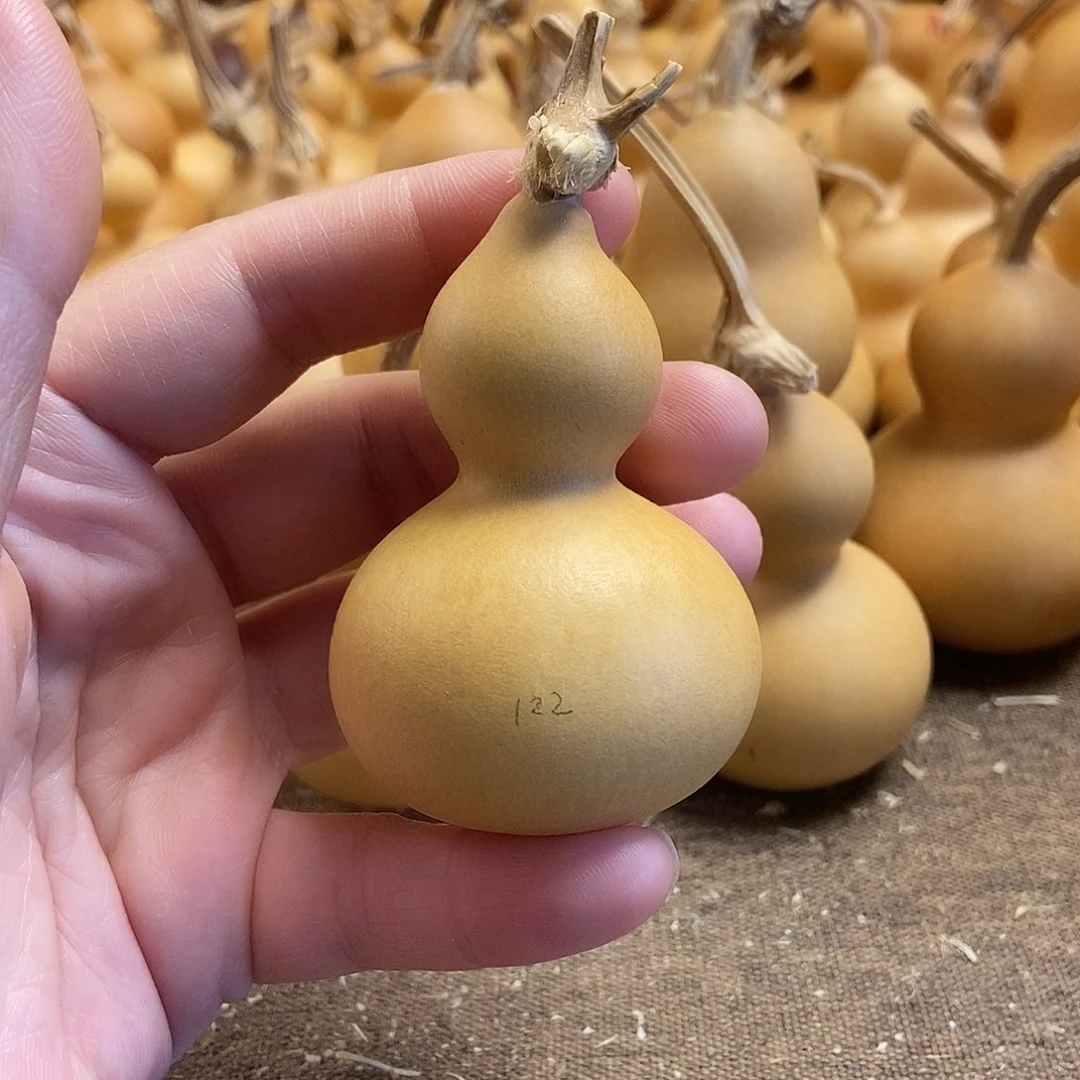 文玩葫芦 完美主义者 慎拍122