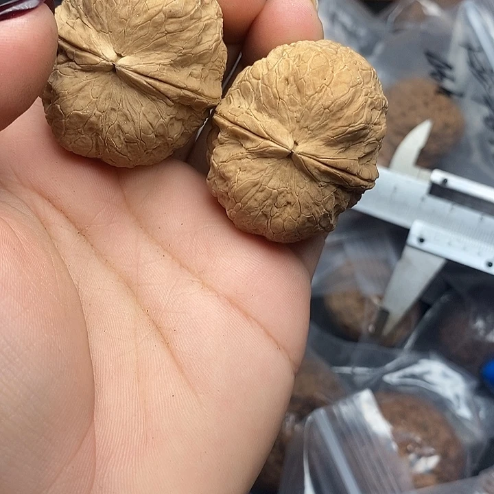 文玩核桃把件49号40mm