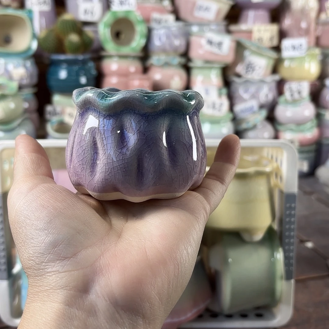 量货/口5高5深浅搭配发6