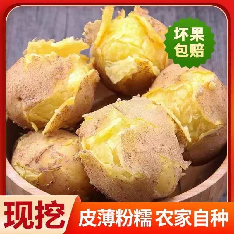 甘肃沙面土豆黄金薯板栗沙面口感高原沙地直发黄皮黄心