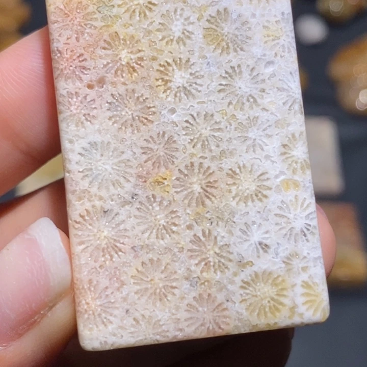 【闪购商品】未镶嵌珊瑚玉硅化玉