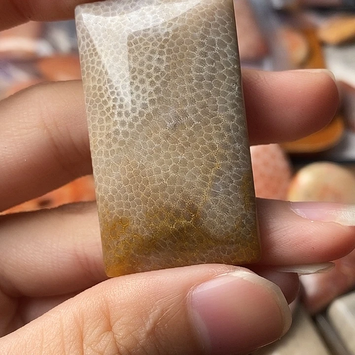 N***m硅化玉未镶嵌颈饰