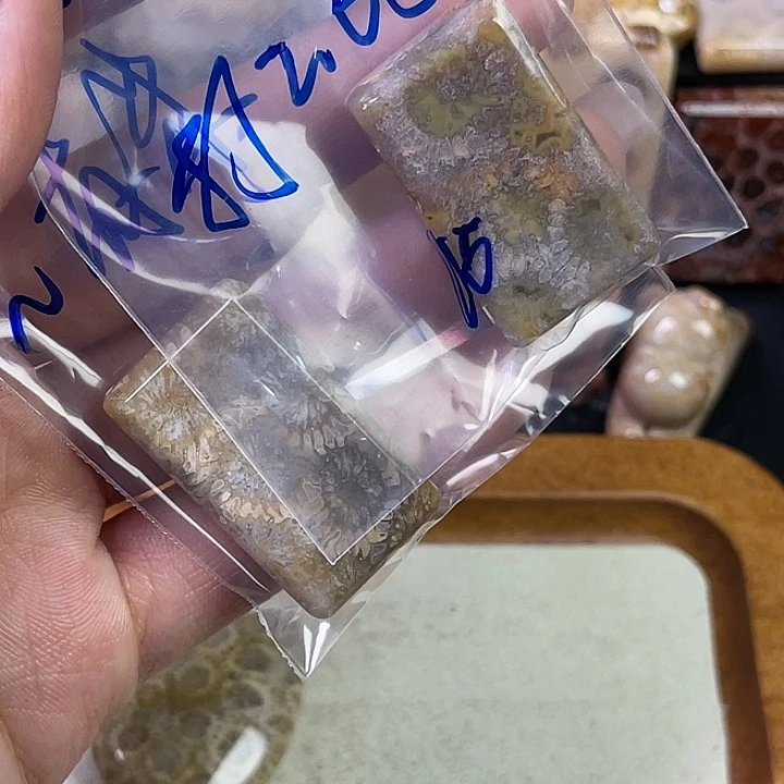 硅化珊瑚（珊瑚玉）珠宝金石合金?****?