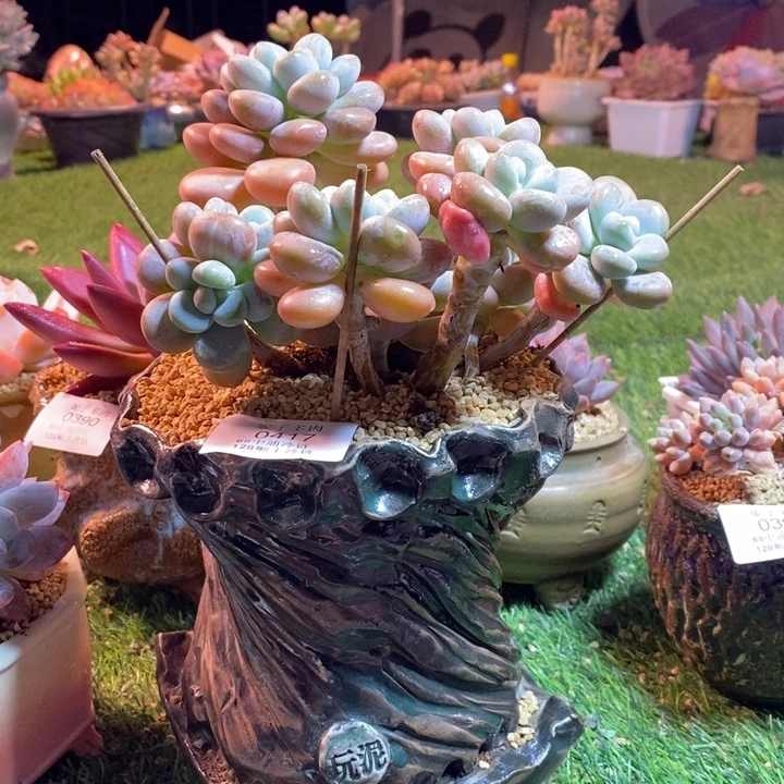 0417啊啊啊啊啊啊啊啊啊啊