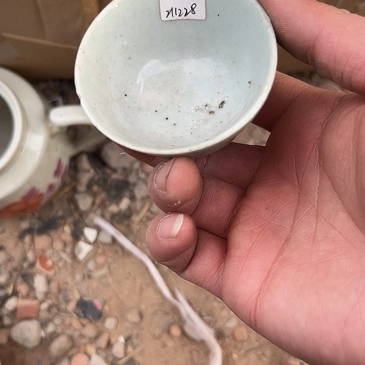 七***安杂色豆（科檀/科特迪瓦檀木）