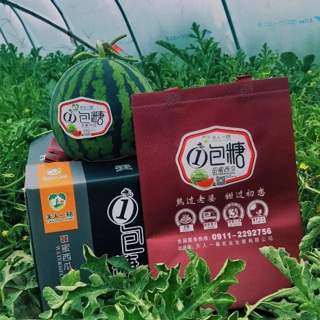 整颗麒麟西瓜，八斤西瓜同城配