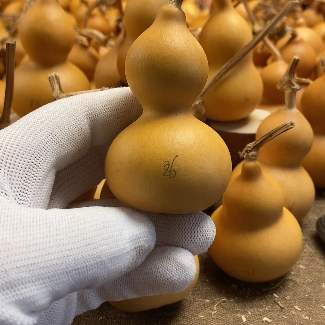 文玩葫芦 完美主义者 慎拍86