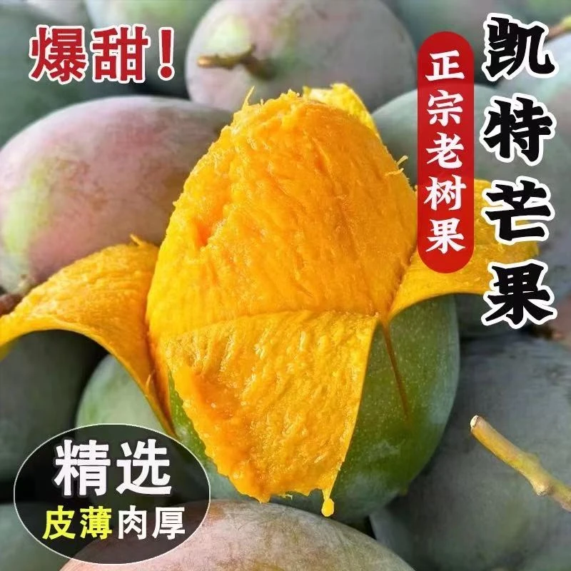 正宗四川攀枝花凯特芒大芒果应季水果皮薄肉厚鲜嫩多汁新鲜采摘