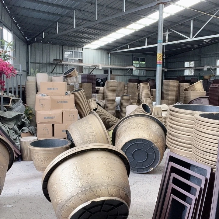 圆93两个有孔金色的