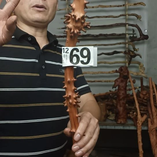 一***光香榧木高山 檬子木文玩料