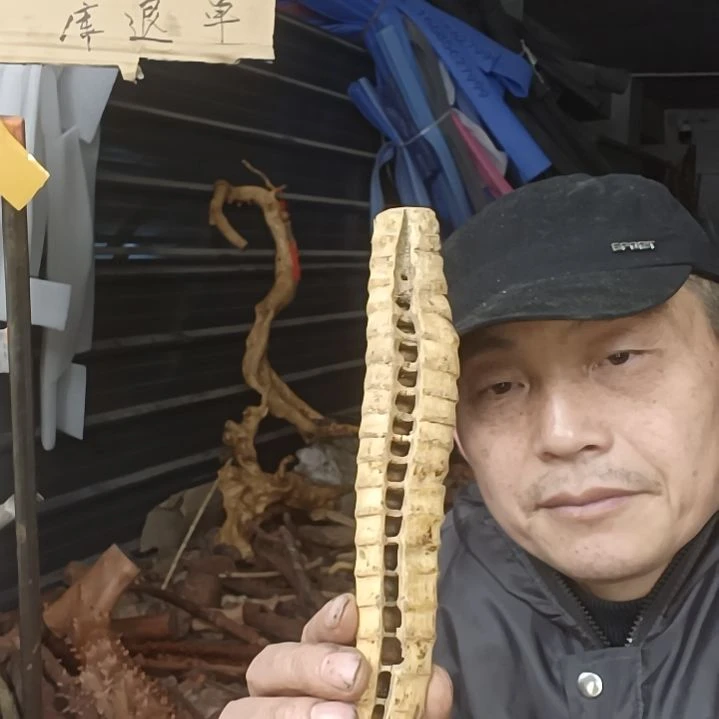稳定木用****0贵州檬子木   铁马鞭   根艺  半成品