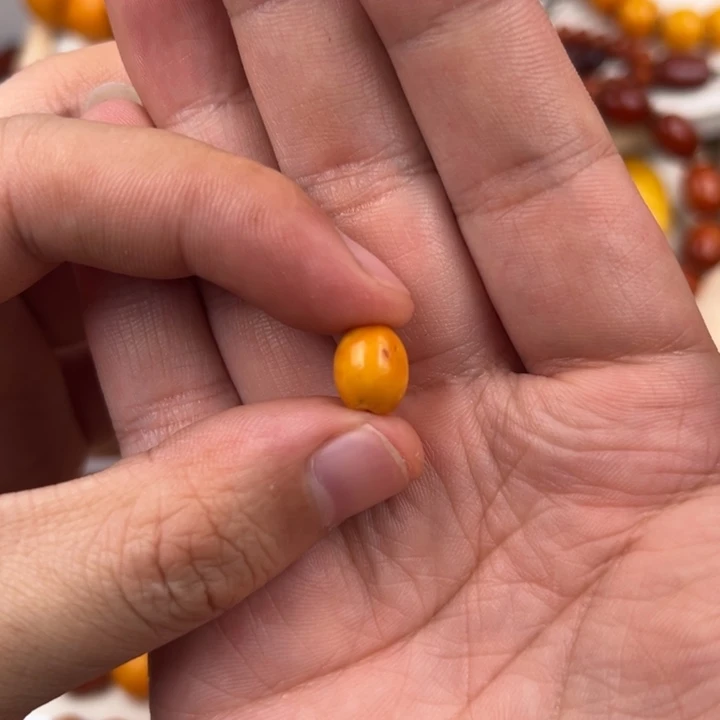 北***哥蜜蜡未镶嵌裸石老蜜蜡花蜡枣珠