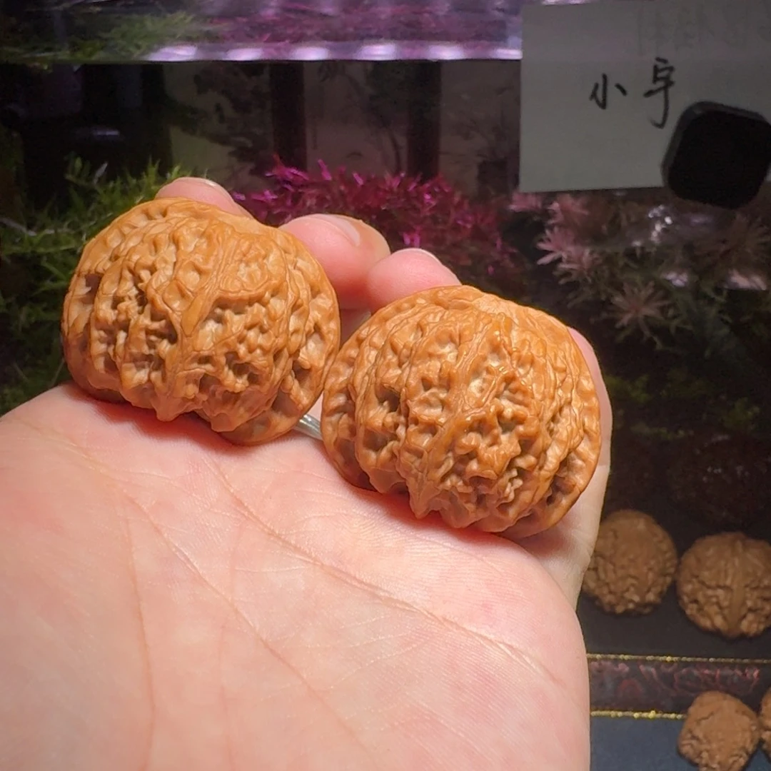 39苹果园苹果园苹果园