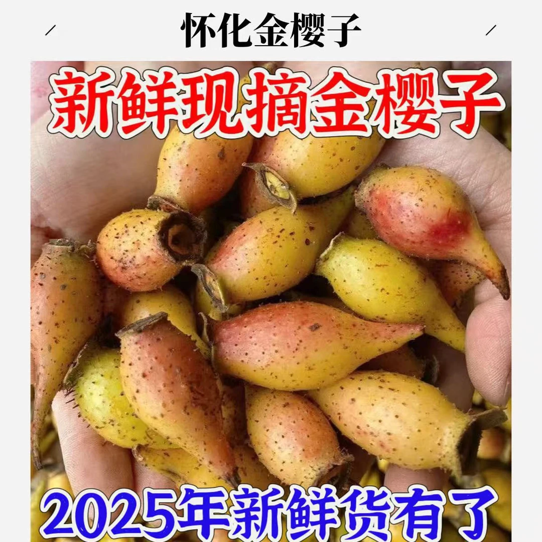 湖南怀化会同新鲜金樱子泡酒用刺梨子山石榴果金英子糖梨1斤