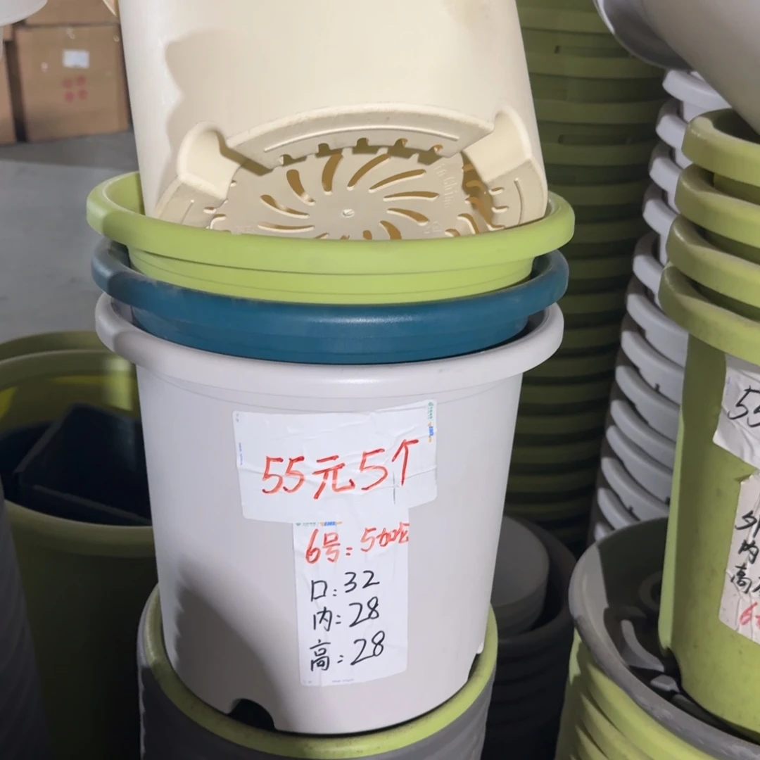 四季6#口径32无拖果绿10个