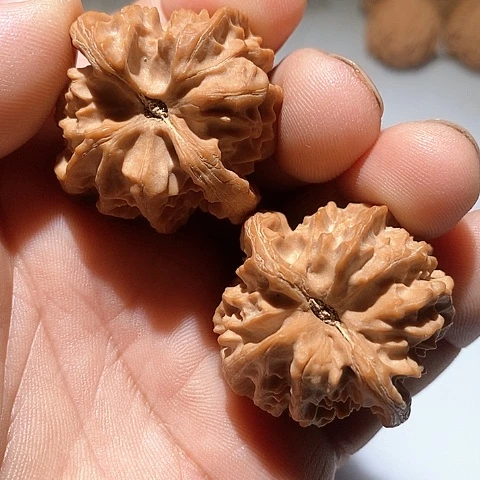 吊坠文玩核桃大龙