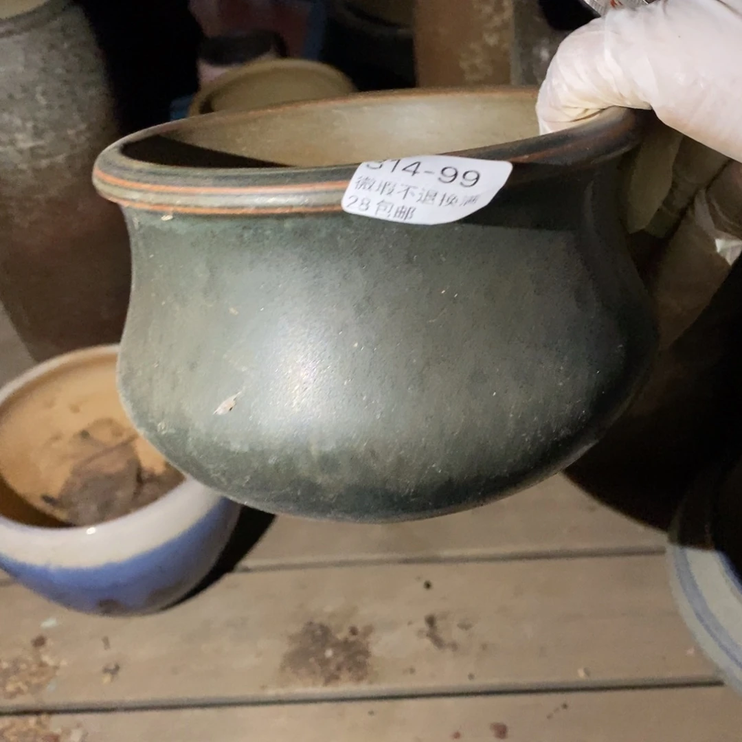 微**对99号多肉盆一个呀