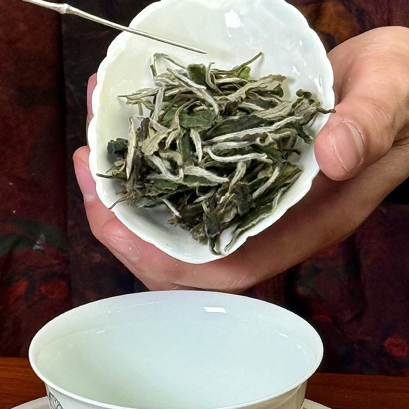 醉荒白2023年二级白牡丹50克装 太姥山核心产区