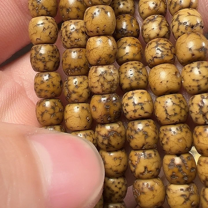 我们都是在这里看到的哈